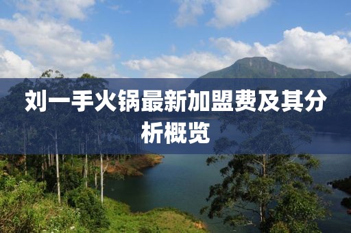 劉一手火鍋?zhàn)钚录用速M(fèi)及其分析概覽
