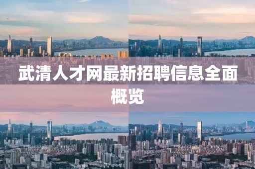 武清人才網(wǎng)最新招聘信息全面概覽