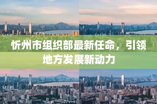 忻州市組織部最新任命，引領(lǐng)地方發(fā)展新動力