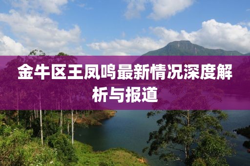 金牛區(qū)王鳳鳴最新情況深度解析與報道