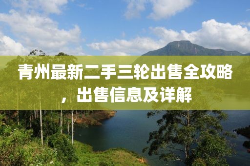 青州最新二手三輪出售全攻略，出售信息及詳解
