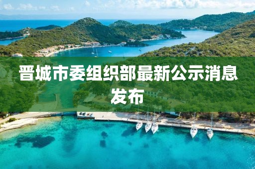 晉城市委組織部最新公示消息發(fā)布