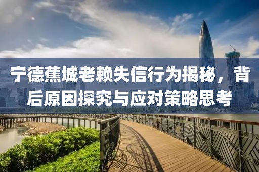 寧德蕉城老賴失信行為揭秘，背后原因探究與應(yīng)對策略思考