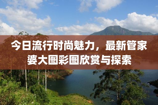 今日流行時(shí)尚魅力，最新管家婆大圖彩圖欣賞與探索