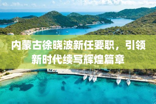 內(nèi)蒙古徐曉波新任要職，引領(lǐng)新時(shí)代續(xù)寫輝煌篇章