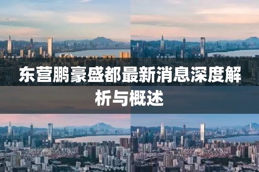 東營鵬豪盛都最新消息深度解析與概述