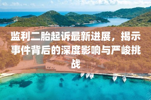 監(jiān)利二胎起訴最新進展，揭示事件背后的深度影響與嚴峻挑戰(zhàn)