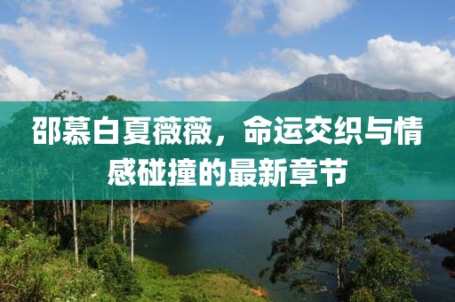 邵慕白夏薇薇，命運交織與情感碰撞的最新章節(jié)