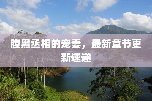 腹黑丞相的寵妻，最新章節(jié)更新速遞