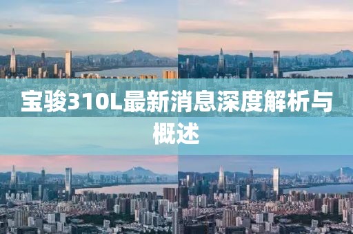 寶駿310L最新消息深度解析與概述