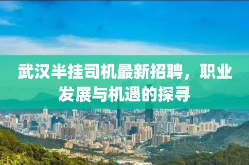 武漢半掛司機(jī)最新招聘，職業(yè)發(fā)展與機(jī)遇的探尋