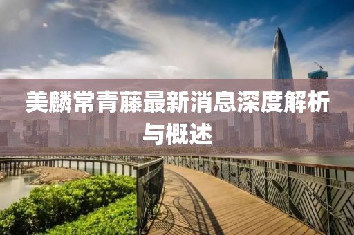 美麟常青藤最新消息深度解析與概述