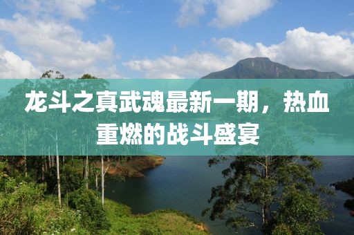 龍斗之真武魂最新一期，熱血重燃的戰(zhàn)斗盛宴