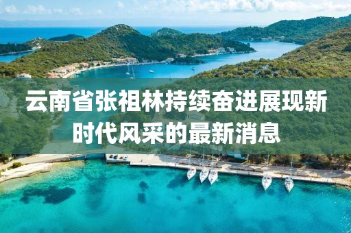 云南省張祖林持續(xù)奮進展現(xiàn)新時代風采的最新消息