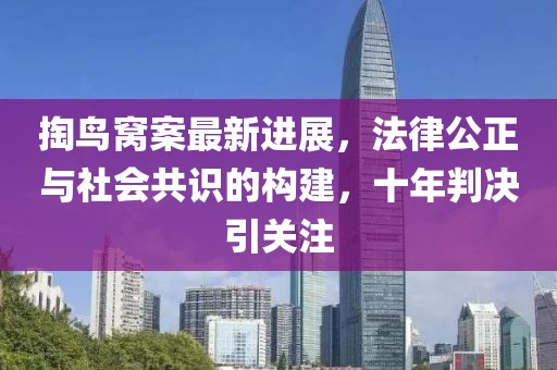 掏鳥窩案最新進(jìn)展，法律公正與社會共識的構(gòu)建，十年判決引關(guān)注