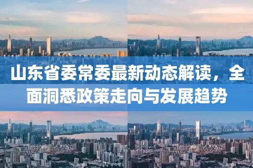 山東省委常委最新動(dòng)態(tài)解讀，全面洞悉政策走向與發(fā)展趨勢(shì)