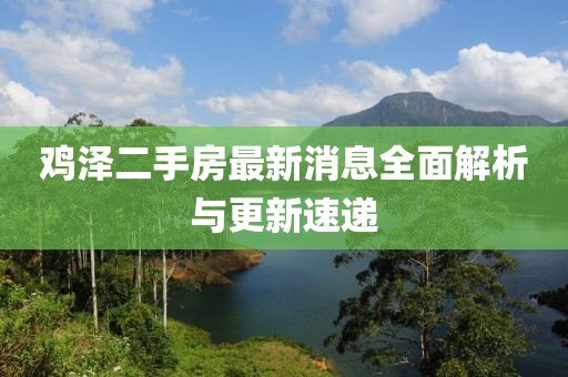 雞澤二手房最新消息全面解析與更新速遞