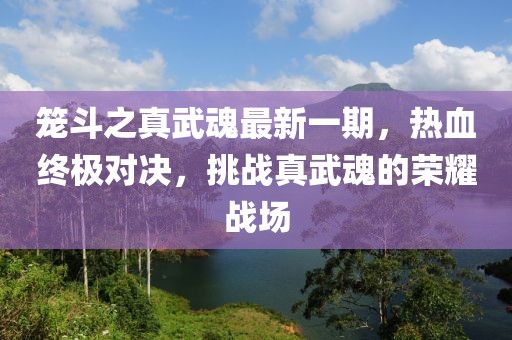 籠斗之真武魂最新一期，熱血終極對決，挑戰(zhàn)真武魂的榮耀戰(zhàn)場