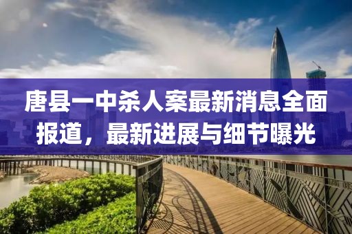 唐縣一中殺人案最新消息全面報(bào)道，最新進(jìn)展與細(xì)節(jié)曝光
