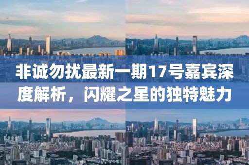 非誠(chéng)勿擾最新一期17號(hào)嘉賓深度解析，閃耀之星的獨(dú)特魅力