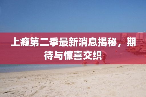 上癮第二季最新消息揭秘，期待與驚喜交織