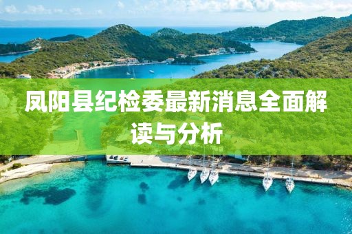 鳳陽縣紀(jì)檢委最新消息全面解讀與分析