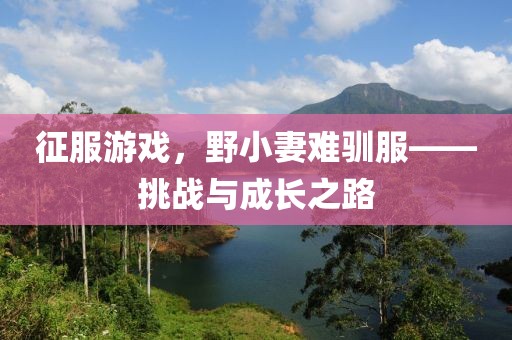 征服游戲，野小妻難馴服——挑戰(zhàn)與成長之路