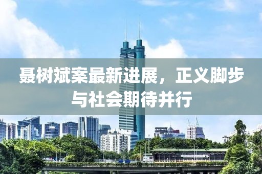 聶樹斌案最新進(jìn)展，正義腳步與社會(huì)期待并行