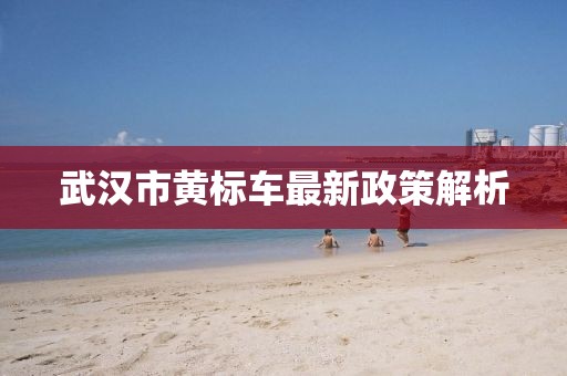 武漢市黃標(biāo)車(chē)最新政策解析