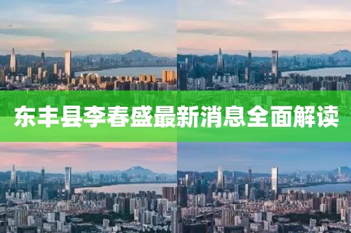 東豐縣李春盛最新消息全面解讀