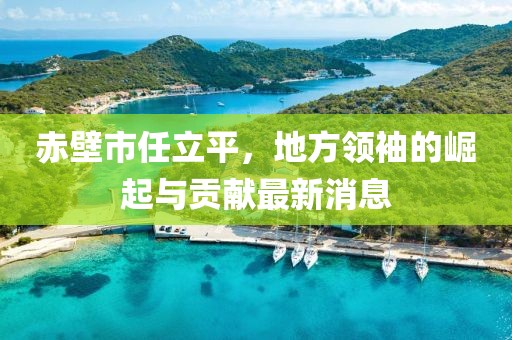 赤壁市任立平，地方領(lǐng)袖的崛起與貢獻(xiàn)最新消息
