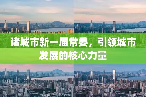 諸城市新一屆常委，引領(lǐng)城市發(fā)展的核心力量