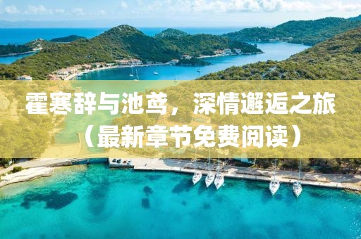 霍寒辭與池鳶，深情邂逅之旅（最新章節(jié)免費(fèi)閱讀）