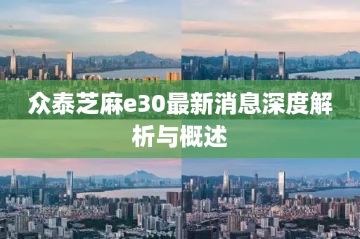 眾泰芝麻e30最新消息深度解析與概述