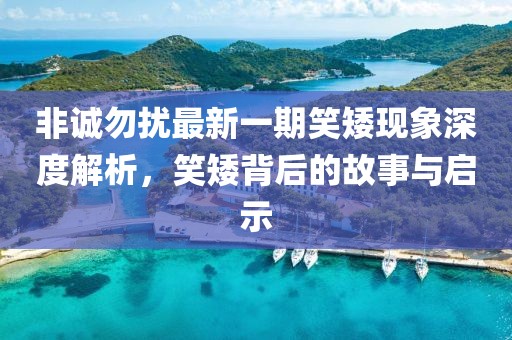 非誠勿擾最新一期笑矮現(xiàn)象深度解析，笑矮背后的故事與啟示