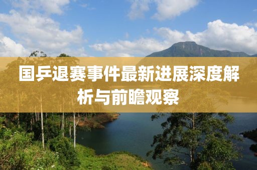 國乒退賽事件最新進(jìn)展深度解析與前瞻觀察