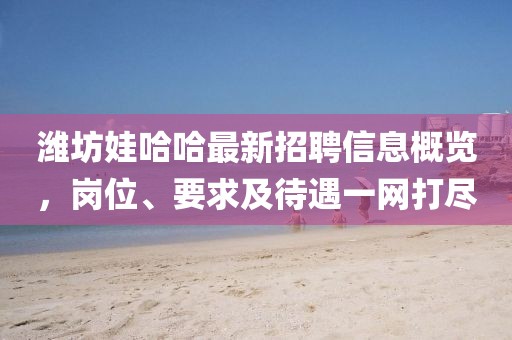 濰坊娃哈哈最新招聘信息概覽，崗位、要求及待遇一網(wǎng)打盡