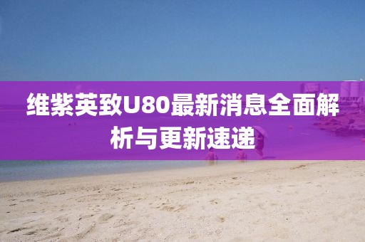 維紫英致U80最新消息全面解析與更新速遞