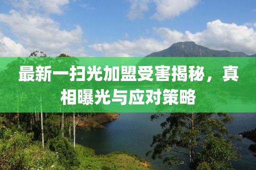 最新一掃光加盟受害揭秘，真相曝光與應(yīng)對(duì)策略