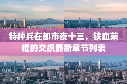 特種兵在都市夜十三，鐵血榮耀的交織最新章節(jié)列表