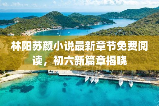 林陽(yáng)蘇顏小說最新章節(jié)免費(fèi)閱讀，初六新篇章揭曉