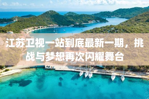 江蘇衛(wèi)視一站到底最新一期，挑戰(zhàn)與夢(mèng)想再次閃耀舞臺(tái)