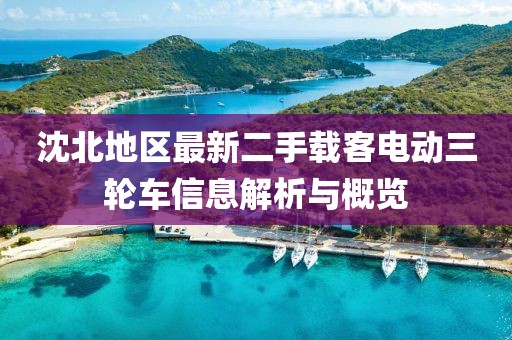 沈北地區(qū)最新二手載客電動三輪車信息解析與概覽
