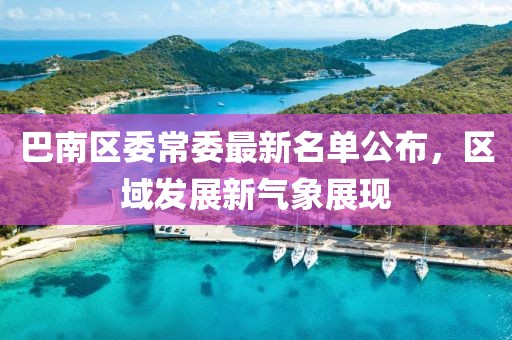 巴南區(qū)委常委最新名單公布，區(qū)域發(fā)展新氣象展現(xiàn)