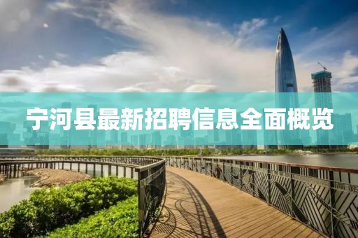 寧河縣最新招聘信息全面概覽