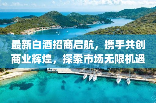 最新白酒招商啟航，攜手共創(chuàng)商業(yè)輝煌，探索市場無限機遇
