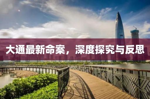 大通最新命案，深度探究與反思