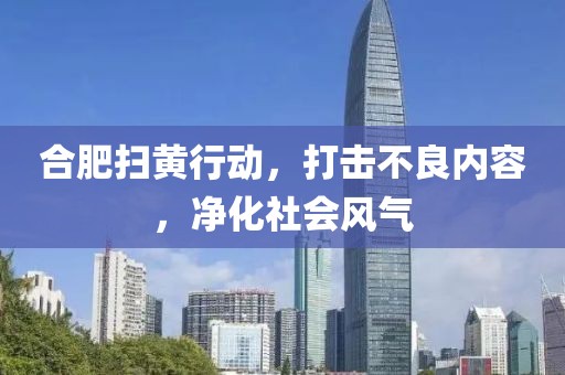 合肥掃黃行動(dòng)，打擊不良內(nèi)容，凈化社會(huì)風(fēng)氣