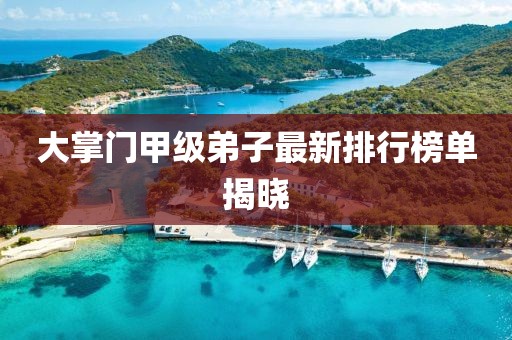 大掌門甲級弟子最新排行榜單揭曉