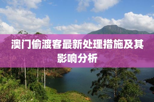 澳門偷渡客最新處理措施及其影響分析